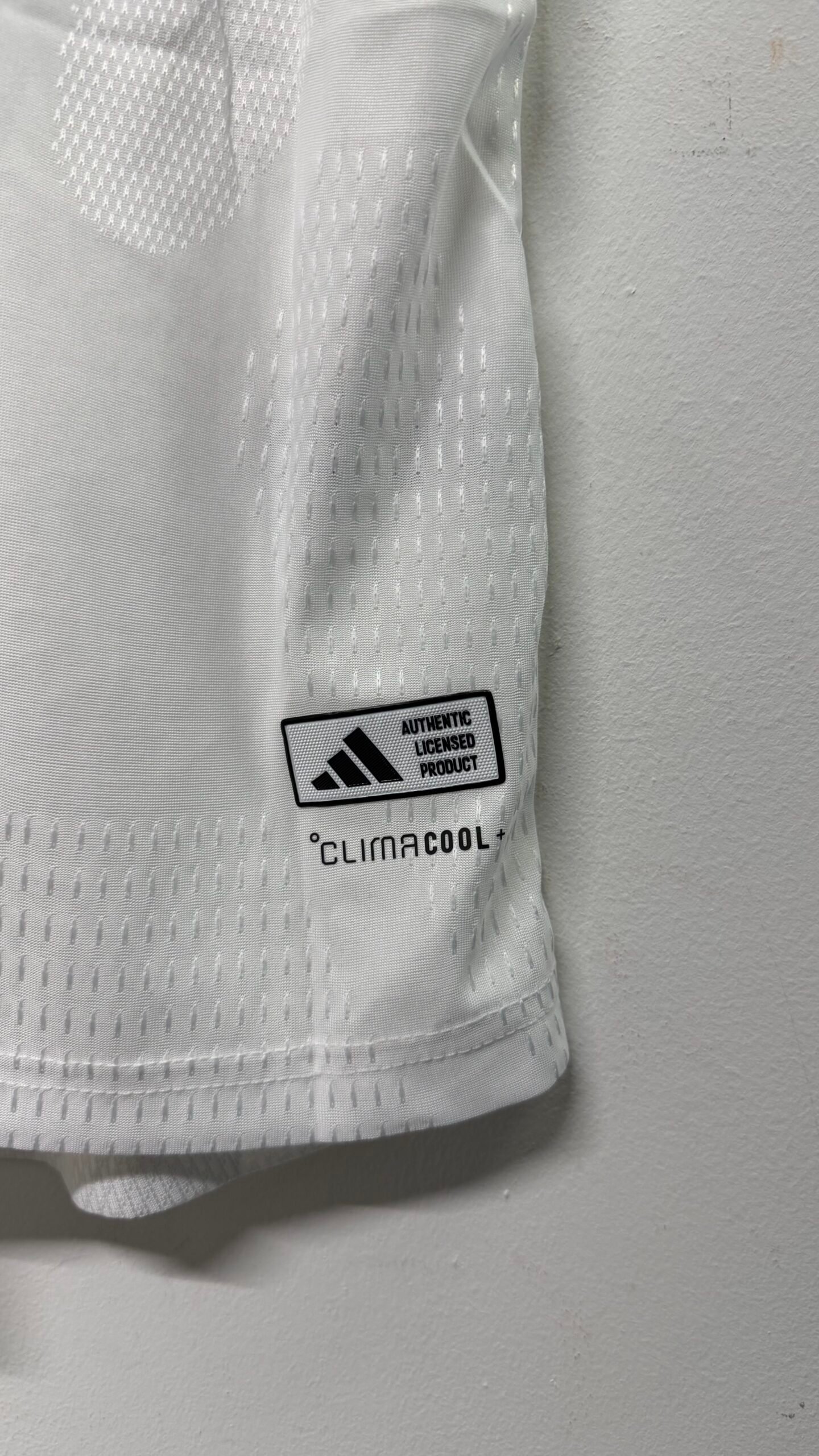 Camiseta Alemania Mundial 2026 WIRTZ 17 - Imagen 8
